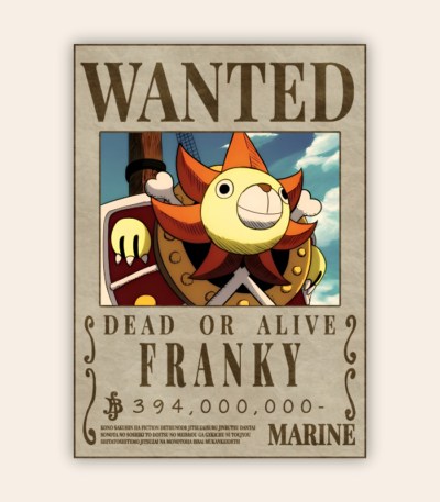 Franky-Sunny Onepiece Wanted Poster